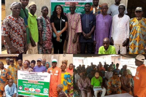 Loom Craft Chocolate, CFAN Train Ondo Cocoa Farmers on Post-harvest Processing Practices