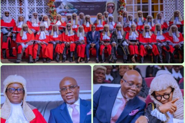 How Judiciary prevented turbulent situation in Ondo —Aiyedatiwa says ‘there’s ink in my red pen’